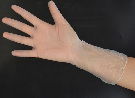 Industrial Disposable Vinyl Powder Free Gloves Large 240MM Vinyl Gloves Food Safe