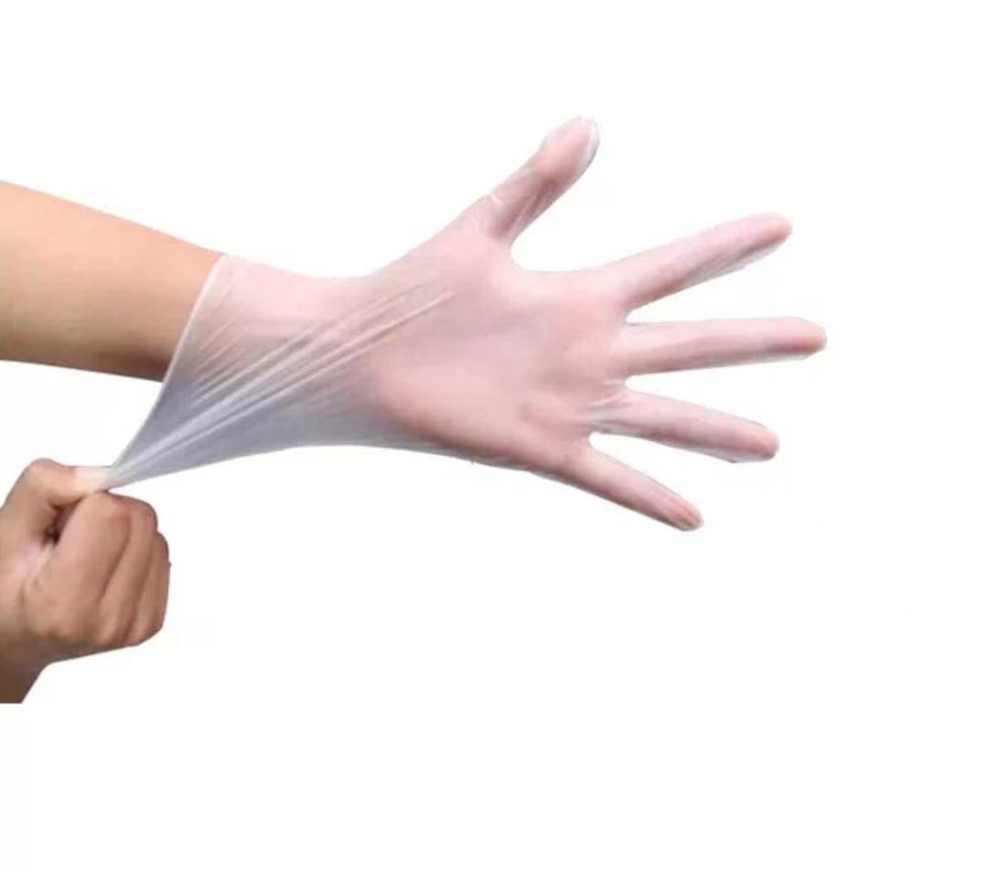 Single- Disposable Vinyl Glove with OEM Service and Minimum Order of 100 Box
